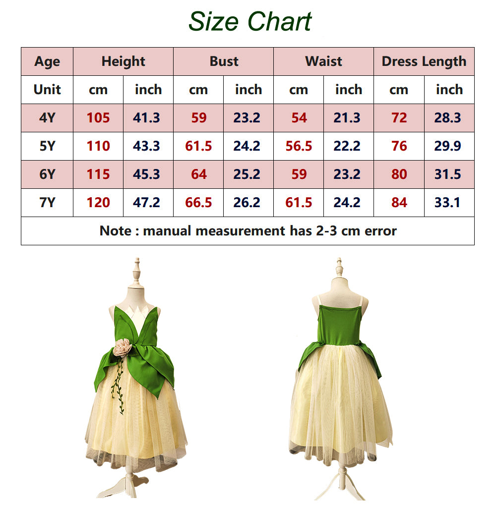 Princess Tiana Dress Tiana Costume for Girls