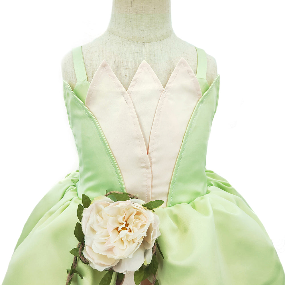 Tiana Costume for Girls Slip Dress Princess and the Frog Costume Birthday Party Fancy Dresses Formal Prom Dress