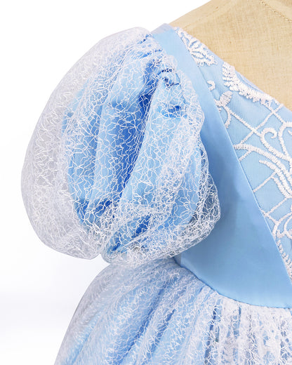 Cinderella Dresses for Girls Toddler Princess Dress Blue Tulle Costumes Cosplay Fairy Costume for Girls